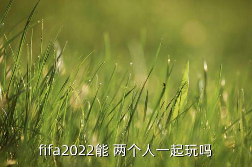 fifa2022能 兩個人一起玩嗎