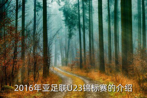 2016年亞足聯(lián)U23錦標賽的介紹