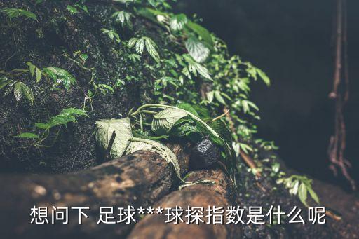 想問下 足球***球探指數(shù)是什么呢