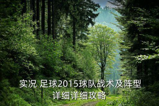  實(shí)況 足球2015球隊(duì)?wèi)?zhàn)術(shù)及陣型詳細(xì)詳細(xì)攻略