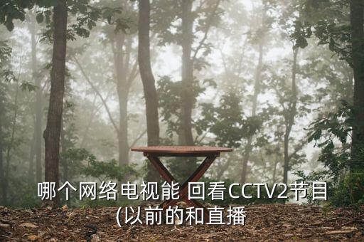 哪個(gè)網(wǎng)絡(luò)電視能 回看CCTV2節(jié)目(以前的和直播