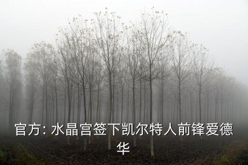 官方: 水晶宮簽下凱爾特人前鋒愛德華