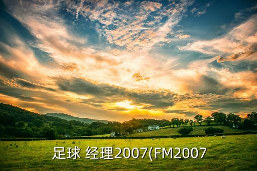  足球 經(jīng)理2007(FM2007