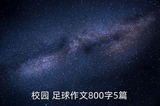 校園 足球作文800字5篇