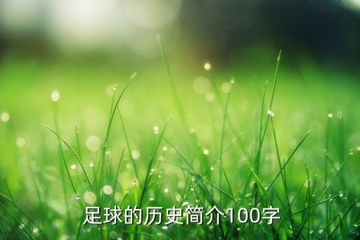  足球的歷史簡介100字