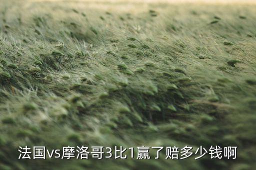 法國vs摩洛哥3比1贏了賠多少錢啊