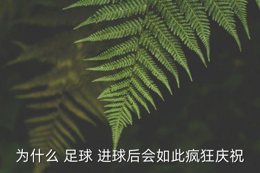 為什么 足球 進球后會如此瘋狂慶祝