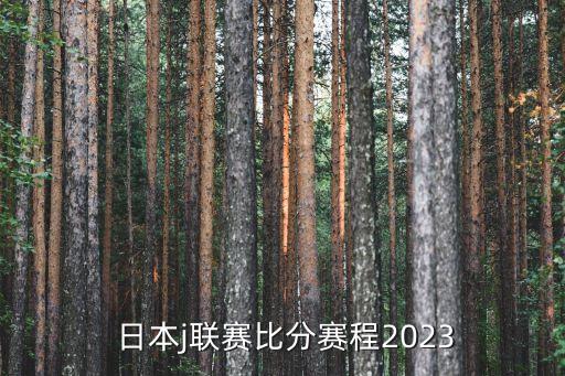  日本j聯賽比分賽程2023