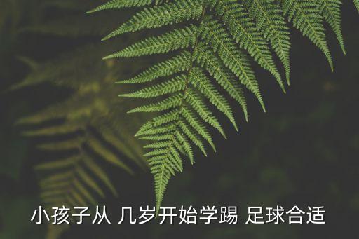 小孩子從 幾歲開始學踢 足球合適