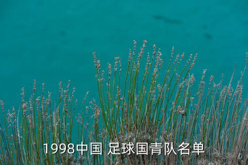 1998中國 足球國青隊(duì)名單