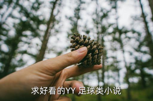 求好看的YY 足球類小說