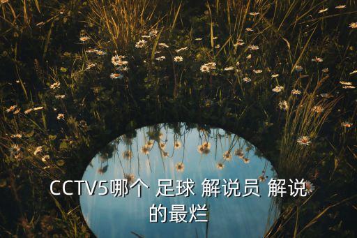 CCTV5哪個(gè) 足球 解說(shuō)員 解說(shuō)的最爛