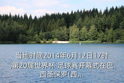 當?shù)貢r間2014年6月12日17時,第20屆世界杯 足球賽開幕式在巴西圣保羅(西...