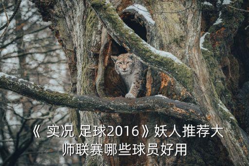 《 實況 足球2016》妖人推薦大師聯(lián)賽哪些球員好用