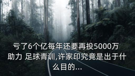 虧了6個億每年還要再投5000萬 助力 足球青訓(xùn),許家印究竟是出于什么目的...