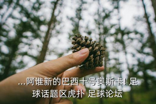 ...阿誰新的巴西十號奧斯卡! 足球話題區(qū)虎撲 足球論壇