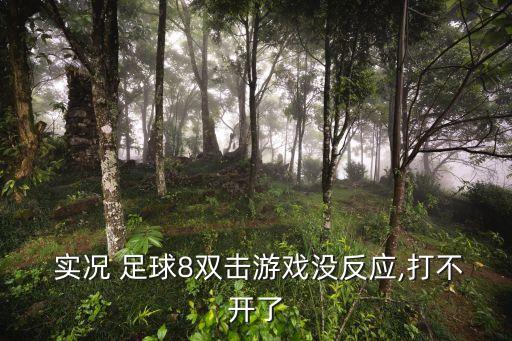  實(shí)況 足球8雙擊游戲沒(méi)反應(yīng),打不開了