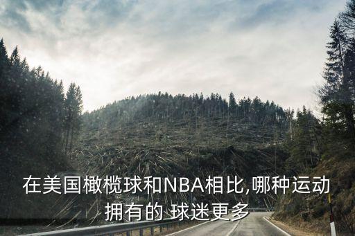 在美國橄欖球和NBA相比,哪種運(yùn)動(dòng)擁有的 球迷更多