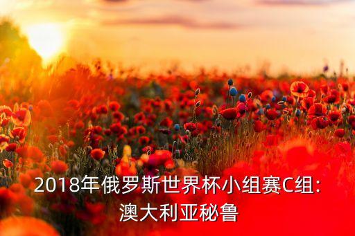 2018年俄羅斯世界杯小組賽C組: 澳大利亞秘魯