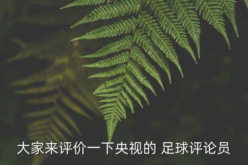 大家來評價(jià)一下央視的 足球評論員