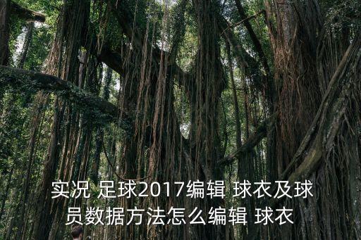  實(shí)況 足球2017編輯 球衣及球員數(shù)據(jù)方法怎么編輯 球衣