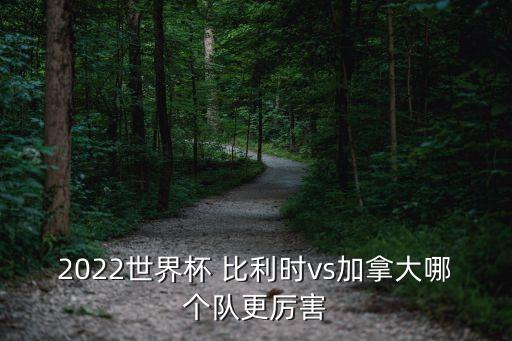 2022世界杯 比利時vs加拿大哪個隊更厲害