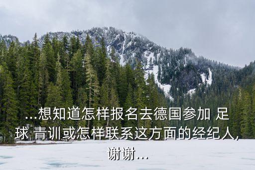 ...想知道怎樣報名去德國參加 足球 青訓或怎樣聯(lián)系這方面的經(jīng)紀人,謝謝...