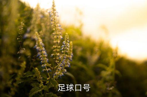 足球政治標(biāo)語 0比3