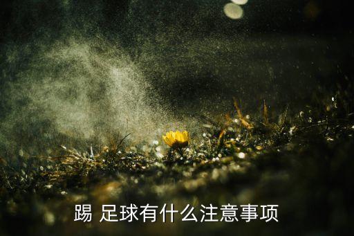 踢 足球有什么注意事項(xiàng)