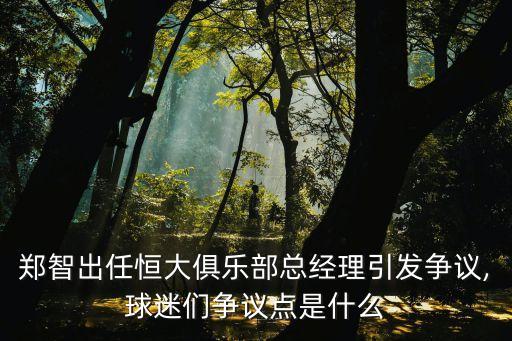 14年恒大足球隊(duì)隊(duì)長(zhǎng)是誰,恒大足球隊(duì)隊(duì)長(zhǎng)鄭智