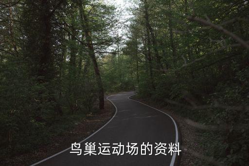  鳥巢運動場的資料