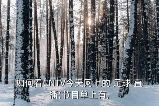 如何看CNTV今天網(wǎng)上的 足球 直播(節(jié)目單上有,