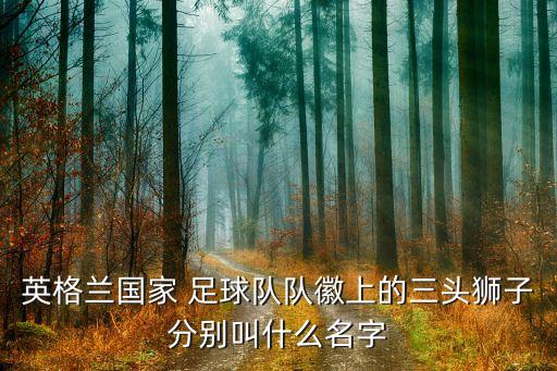 英格蘭國家 足球隊(duì)隊(duì)徽上的三頭獅子分別叫什么名字