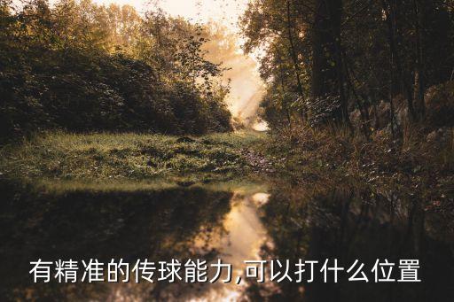 有精準(zhǔn)的傳球能力,可以打什么位置