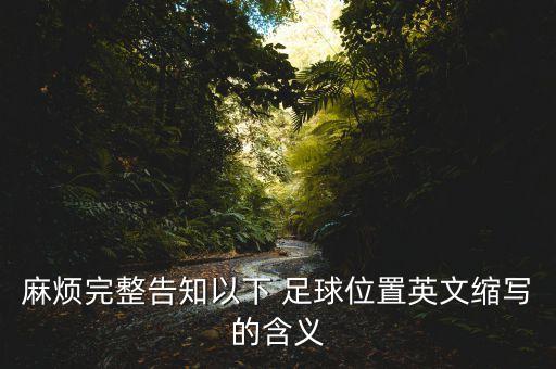 足球dm什么意思,dm什么意思網(wǎng)絡(luò)流行語