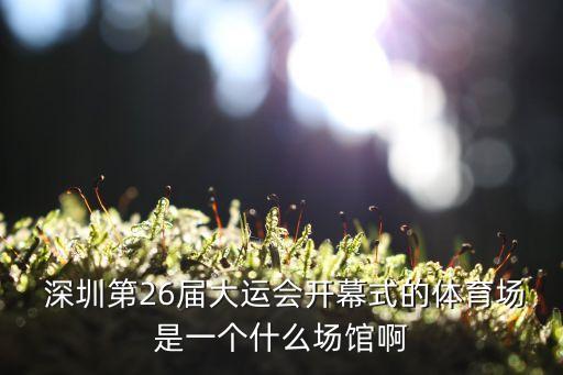  深圳第26屆大運(yùn)會(huì)開幕式的體育場是一個(gè)什么場館啊