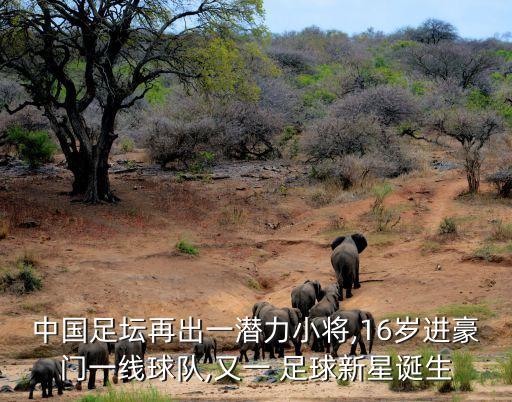 足球年齡最小的,以下哪位足球運(yùn)動(dòng)員年齡最小