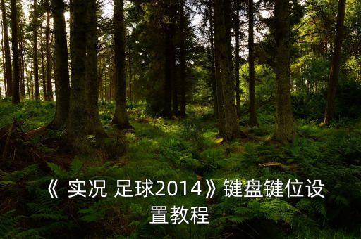 《 實(shí)況 足球2014》鍵盤鍵位設(shè)置教程