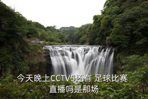 今天晚上CCTV5還有 足球比賽 直播嗎是那場