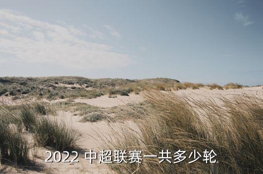 中超足球比賽記錄表,2022中超比賽場地