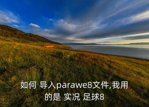 如何 導入parawe8文件,我用的是 實況 足球8