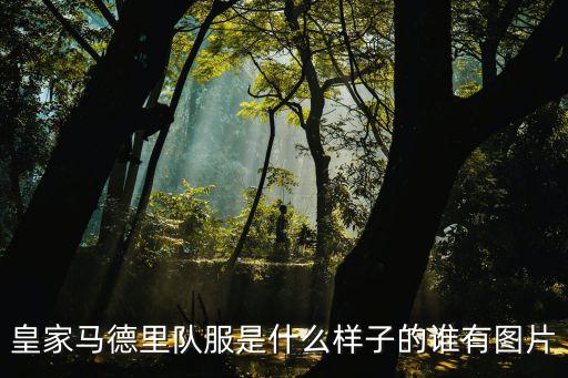 皇家馬德里隊(duì)服是什么樣子的誰有圖片