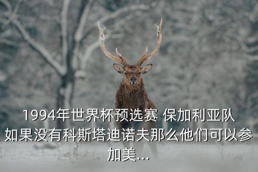 1994年世界杯預(yù)選賽 保加利亞隊如果沒有科斯塔迪諾夫那么他們可以參加美...