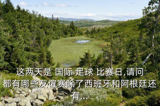 這兩天是 國(guó)際 足球 比賽日,請(qǐng)問(wèn)都有哪些友誼賽除了西班牙和阿根廷還有...