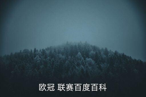 歐洲足球聯(lián)賽有哪些