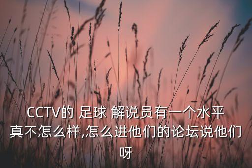 CCTV的 足球 解說(shuō)員有一個(gè)水平真不怎么樣,怎么進(jìn)他們的論壇說(shuō)他們呀