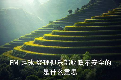 FM 足球 經(jīng)理俱樂(lè)部財(cái)政不安全的是什么意思