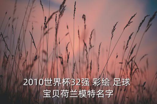 2010世界杯32強 彩繪 足球 寶貝荷蘭模特名字