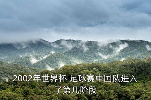 2002年世界杯 足球賽中國隊進入了第幾階段