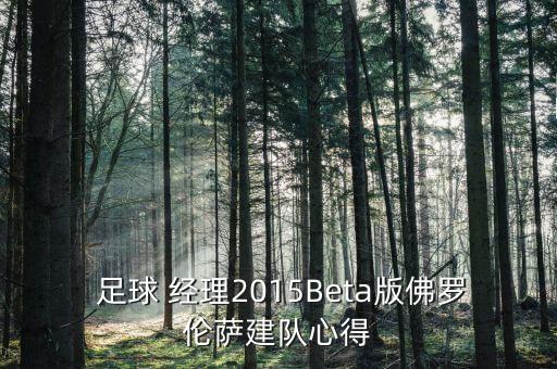  足球 經(jīng)理2015Beta版佛羅倫薩建隊(duì)心得